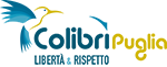 Colibrì: Comitato Libertà & Rispetto Logo